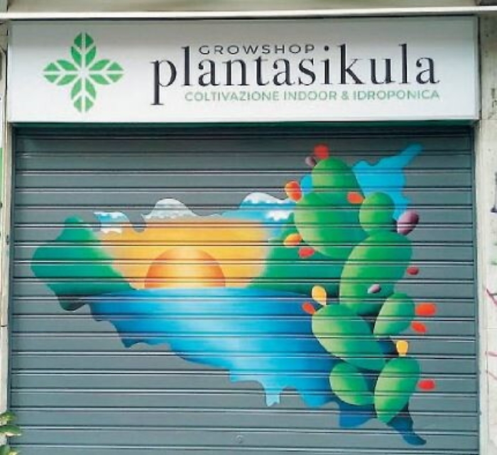 114521128-798ebe21-5f4c-4cf3-9c7b-38101e212a63