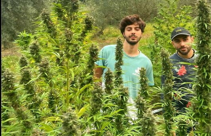 115619739-a40362c9-0366-47fd-8455-5fcfb6400520