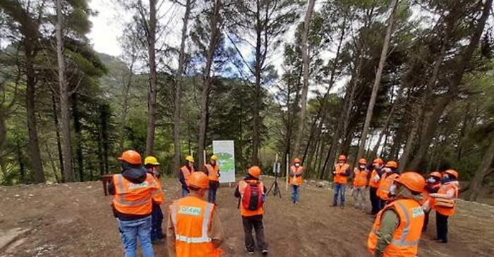 132623464-475d7c88-a683-41f6-9c7d-26673a23354f