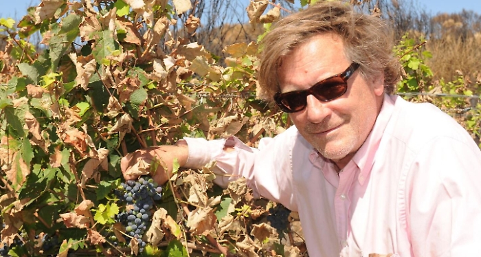 171110233-fe9b9d02-8c40-42b8-b5dc-4873add2ed94