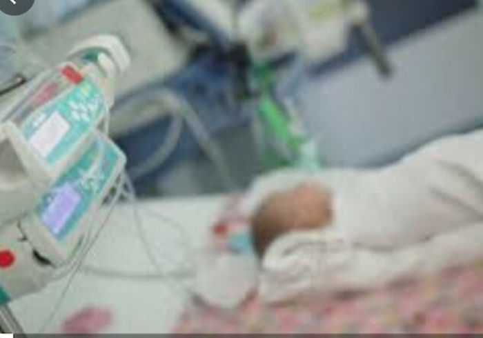 100443134-a234805f-ac2b-4dc8-a528-d280ea17e233