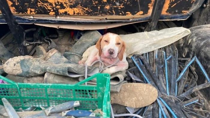 142130143-e450d4ac-5867-458a-a10d-a312c040f65b