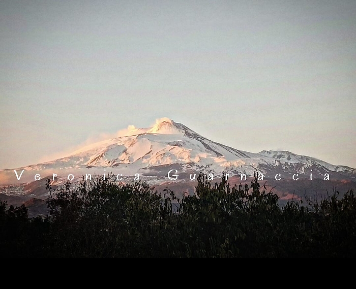 174826209-4154dfd6-a3fe-4ef9-9cf7-ca4d3081aa42