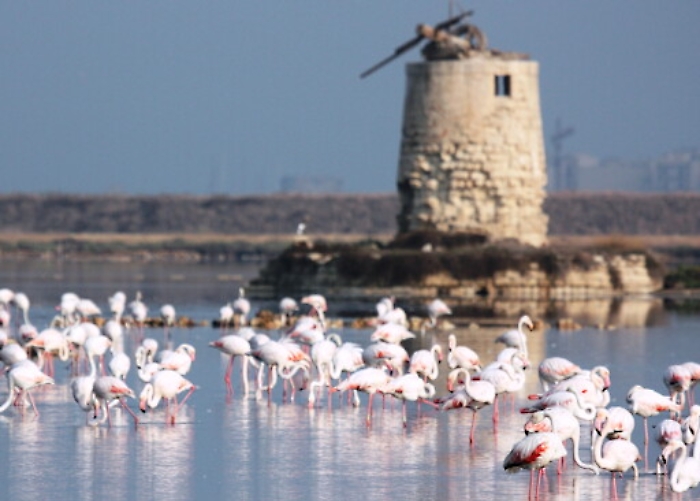 154850260-d6df2a2f-a32f-4a87-aa05-35b5203394e9