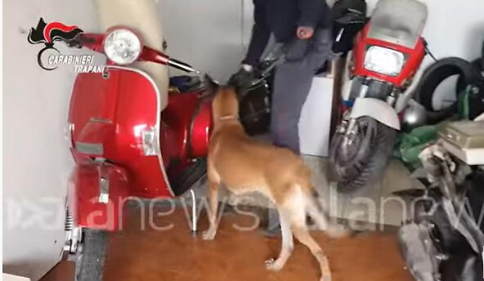 131719489-fbca8e23-902d-4702-963d-fd7c793856cb