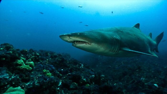 092523827-4a85a622-15ae-4ada-ae20-5d2748c8c31d