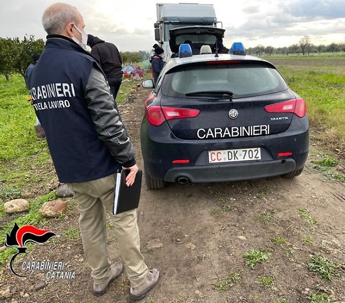 135551664-49efe77f-4ee3-4c3b-bc6c-3adc8dec3670