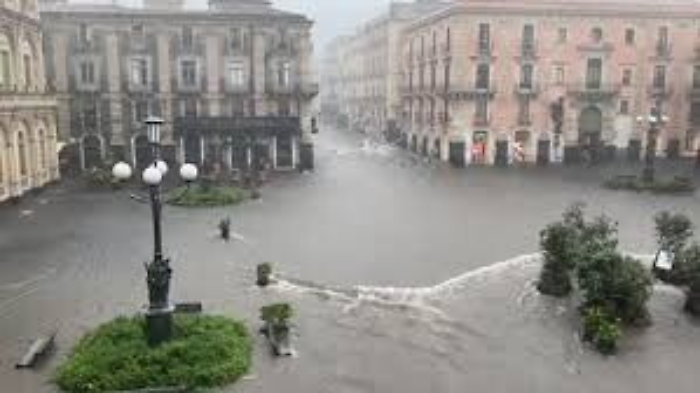 115943853-101e1b70-56df-4292-8681-663d5da4abe5