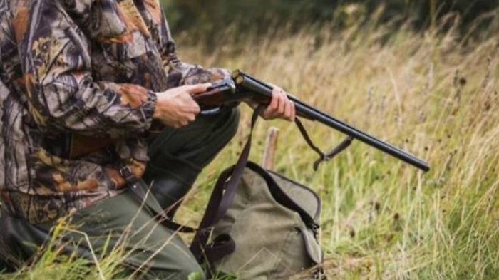 140515826-555c4fac-7a68-4867-8b68-43084eada089