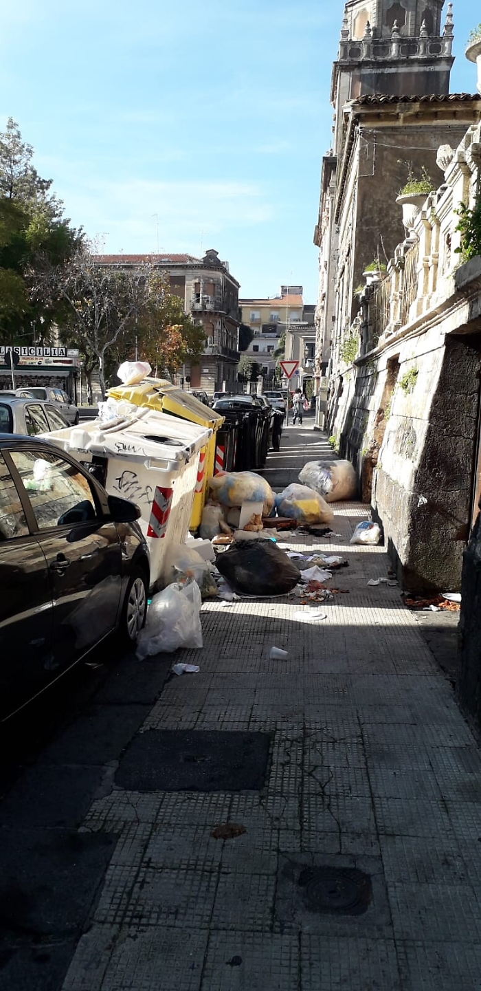 171422291-78c0a4cf-c3e2-4440-aee7-23b77a6b2a2f