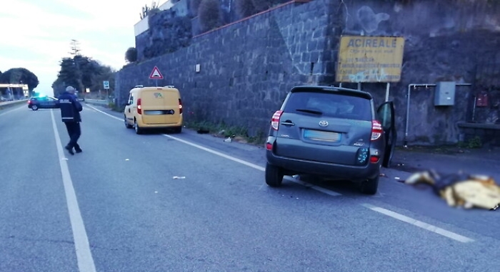 173735136-77834530-9723-4689-91c5-81fdd86aaeda