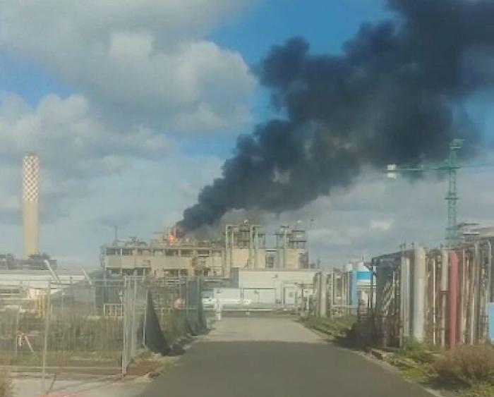 135224728-3d6eb77a-b5d5-43f0-a249-ca44cf2a3c0d