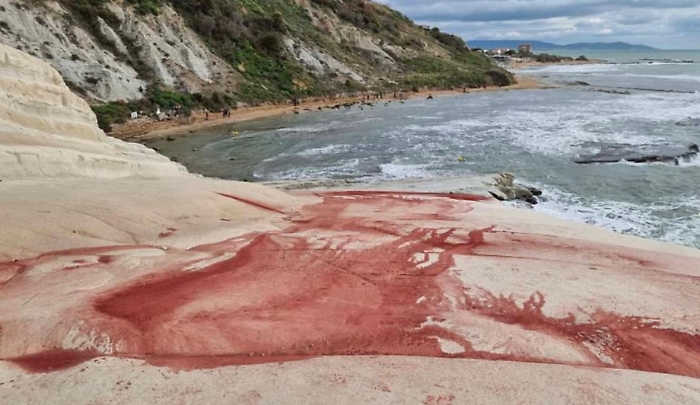 150355448-708b5f57-88e4-4ac6-8632-2fa2601e5b7a