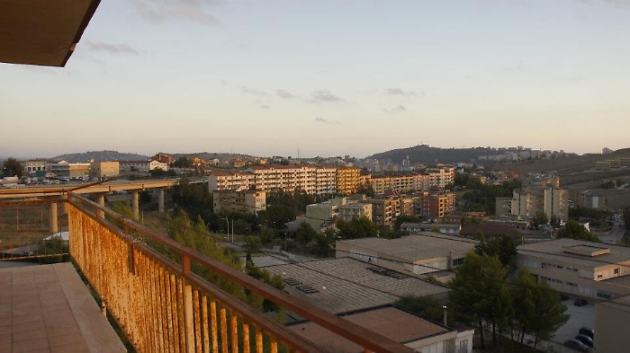 103819202-e2035f96-075f-4e4a-8e0c-bc9c7f5e8f49