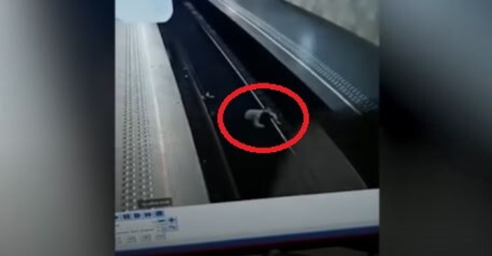 160822485-79f84882-6bca-4154-9674-104be41b29d7