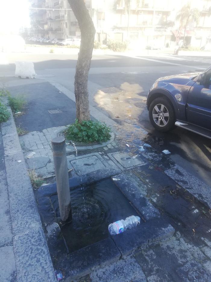 180927731-4d373ea7-ec9d-4102-863a-0643123eb825