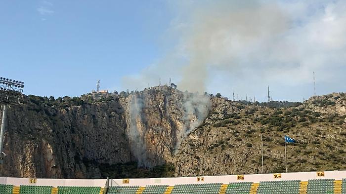 071349693-cee8f299-98f9-437f-bec6-62a77c080658