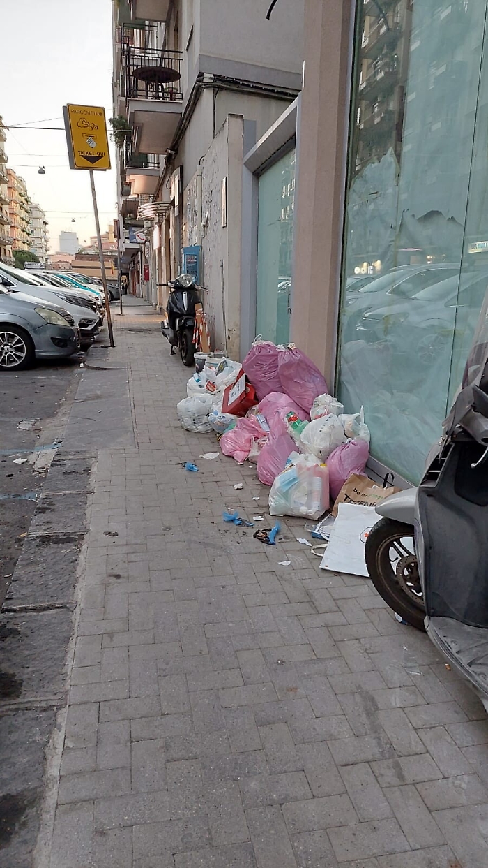 165202311-0e66c0b3-094d-462d-8fd8-d28e8335df60