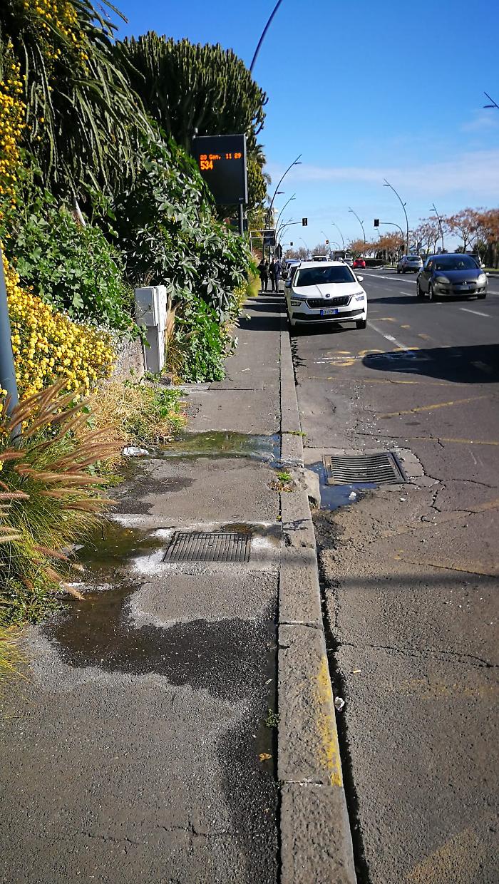 165605219-43f156cc-a548-4b71-9a05-f29f14b1d73a