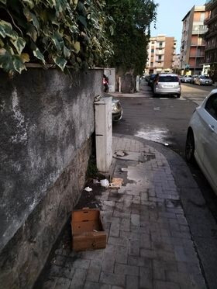 100231337-de8c2b6c-2ea3-477f-a903-5164c2ad475a