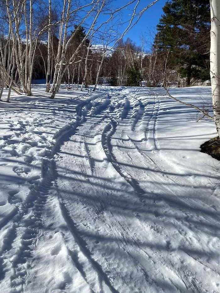 174439054-61a8821d-8bfc-4592-bf46-69905d49311c