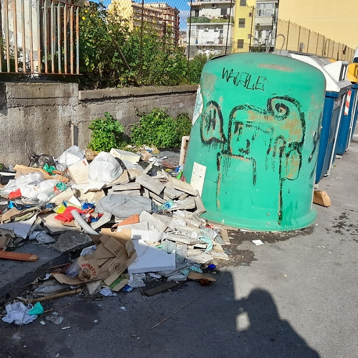 184258033-d3f48ed0-1c72-4059-8098-c56c65a9ebde