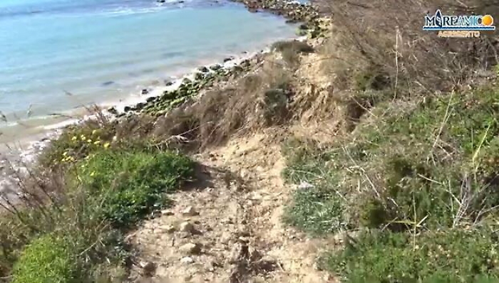 074328713-90a04f70-519c-4ae7-b4c0-edb7deb20c5c