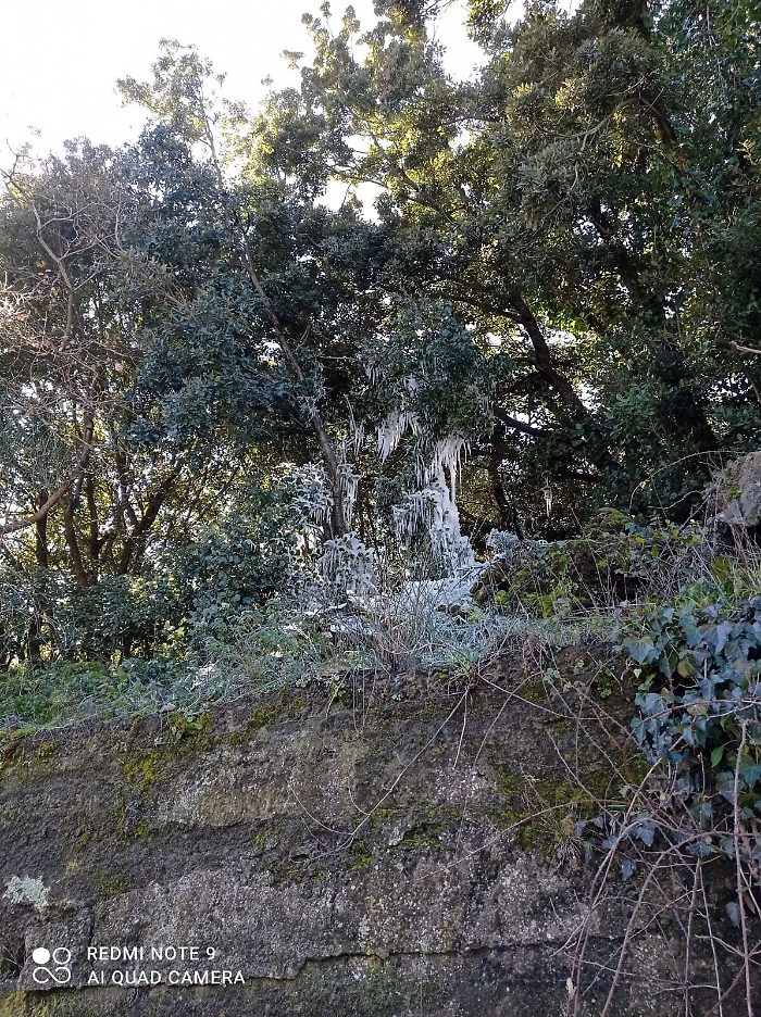 185527449-cdfc3e4e-d013-4f01-8e09-b98277ad9ff2