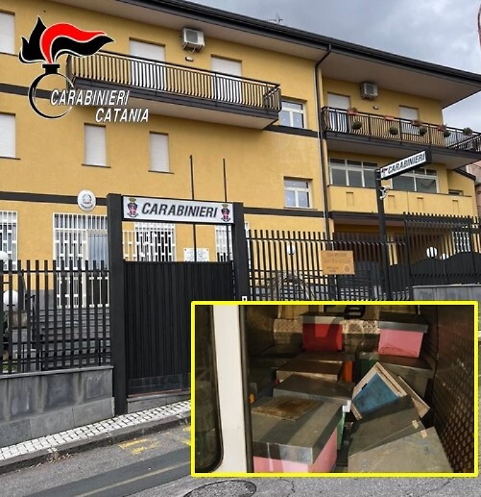 094558877-767ae51d-2ad1-4a83-88ad-15a9ef01c046