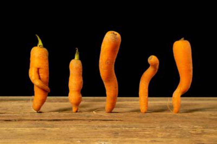 ADN20220204144831_1643983712366