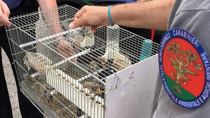 075532041-cb9d648f-691c-4b40-90e1-c4f75dfc41f1