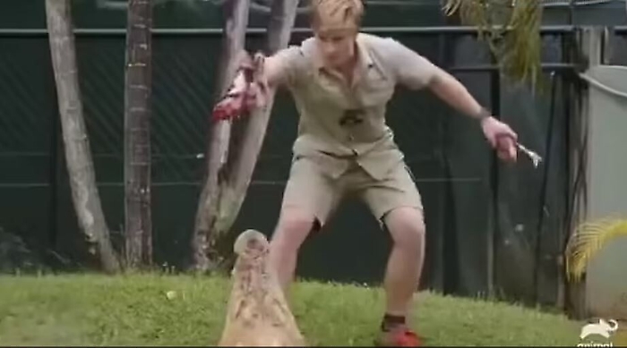 143454646-209636f4-7fef-4398-b9fc-0ba10fac6756