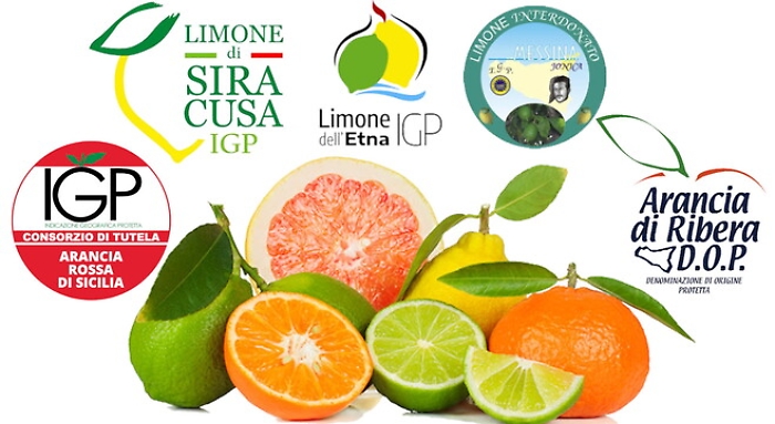 180026126-66a8b2ec-935c-4d51-8d62-510dbb984f4d