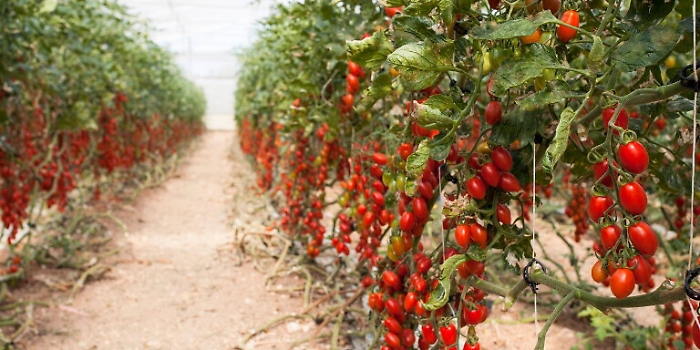 154609389-bc0d5e2a-ffe4-4e47-829e-ea92e5ceae66