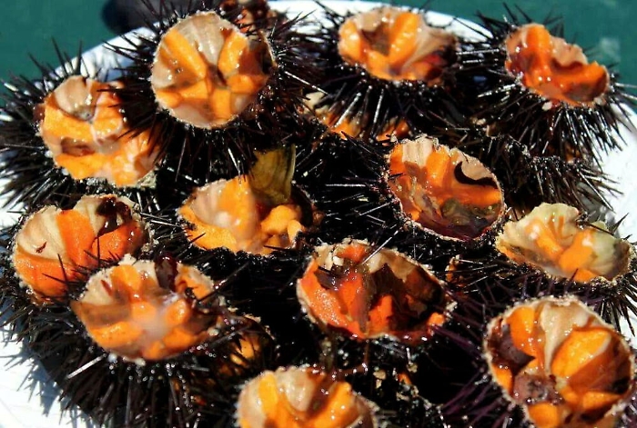 152614728-f7296d27-78a4-433a-9cc9-89c8d3080521