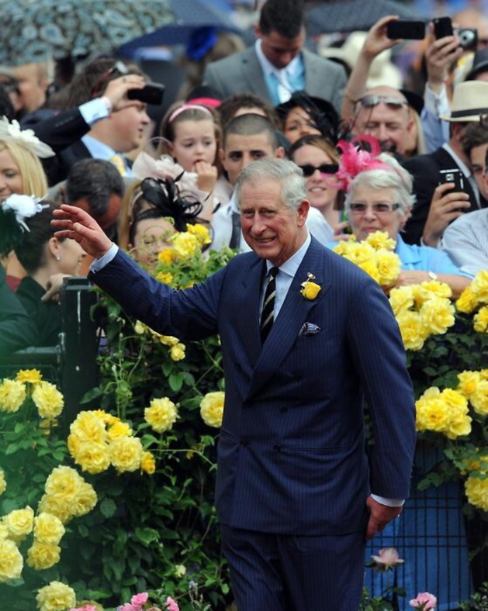 185232984-511db1c2-c244-48b8-9d5c-d885f56446ac