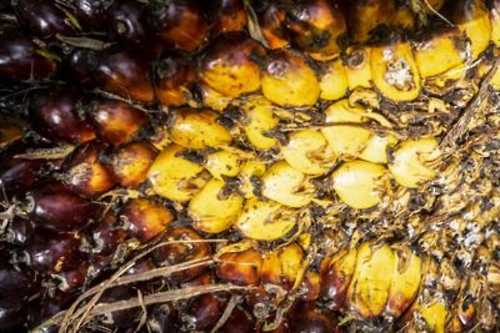 ADN20220210152807_1644503787538