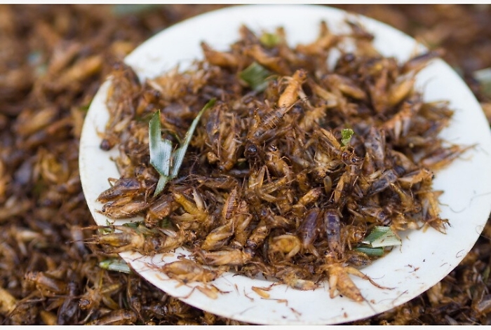 145909109-a1b4be0d-30ad-4984-a012-b9c99506bb88