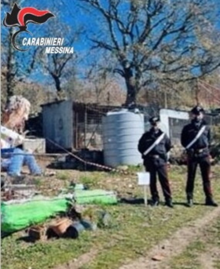 120717202-4f8c87f2-6cd2-4de3-a3c0-9b4365e25c49