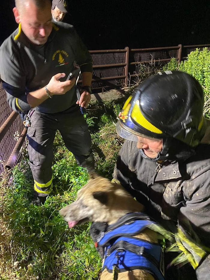 180848416-5e913480-7658-49ab-b795-3de75c0f32c1