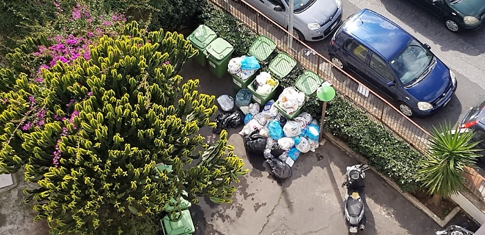 185453589-5c1936de-da97-480c-bb0b-64bc2073451e