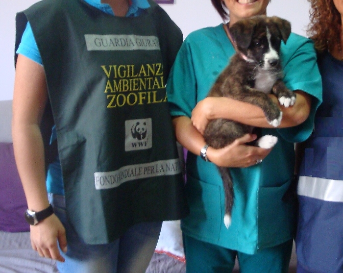 100345867-0e65210e-9b03-4703-8cf7-da9e21a3a6ea