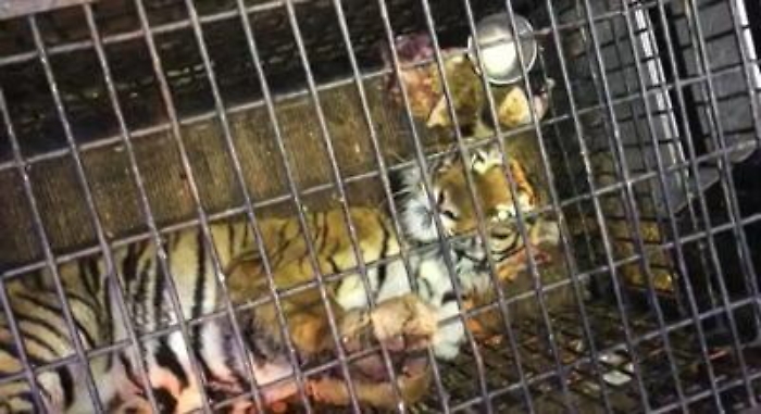 ADN20220216114605_1645009716704