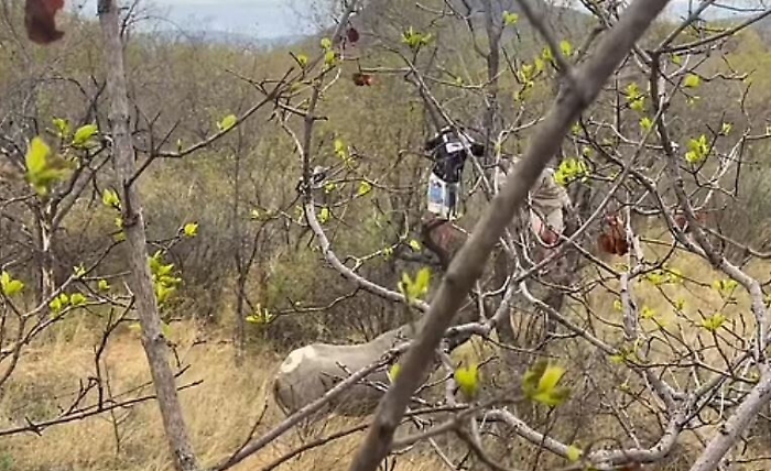 121554418-e02453c0-e968-4c0d-9369-c34414a4719a