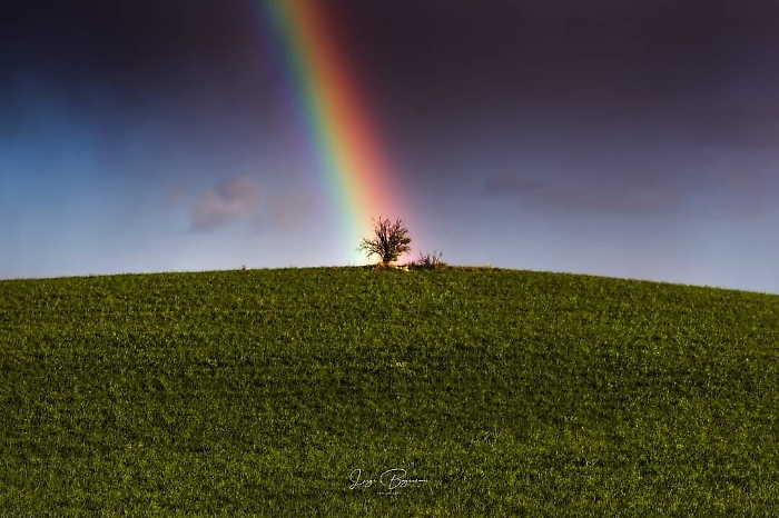 180548514-a626ff18-0450-4f6e-9d9e-69ec5acfce5e