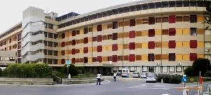 220058670-30af4495-5400-4d04-83f5-f502f3d61ca5