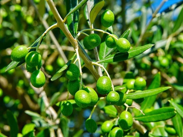 151520085-1b737f3f-7c67-437e-9313-748ac641b337