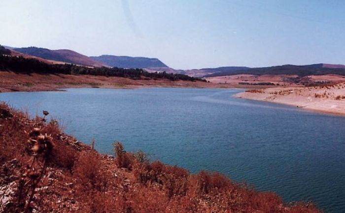 182310071-004997e8-8ec2-423e-b8d3-fd0b0772294b