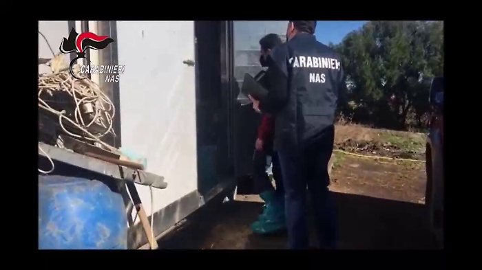 074353298-b3e6fcbb-0b97-416a-8dae-c3e5a6296a1d