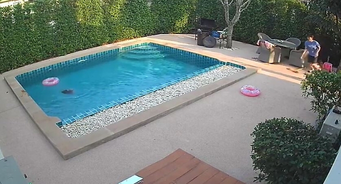 190123276-d48678f9-186c-4db1-b904-a0d4276e68c6